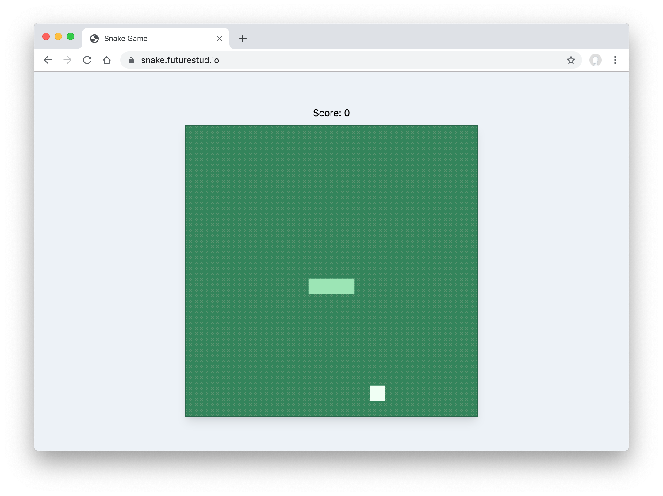 Screenshot of the Snake game in the Browser