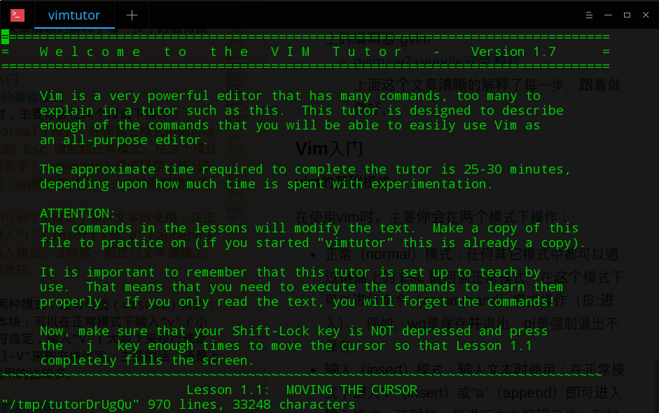 vimtutor