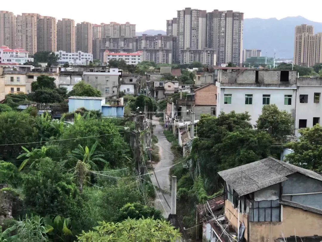 2023年9月，俯瞰漳浦城关北街。图片：陈逸飞