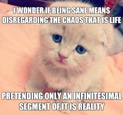 Image of a kitten with overlay: "I WONDER IF BEING SANE MEANS DISREGARDING THE CHAOS THAT IS LIFE...PRETENDING ONLY AN INFINITESIMAL SEGMENT OF IT IS REALITY" Source: http://existentialpets.tumblr.com/post/48069725344