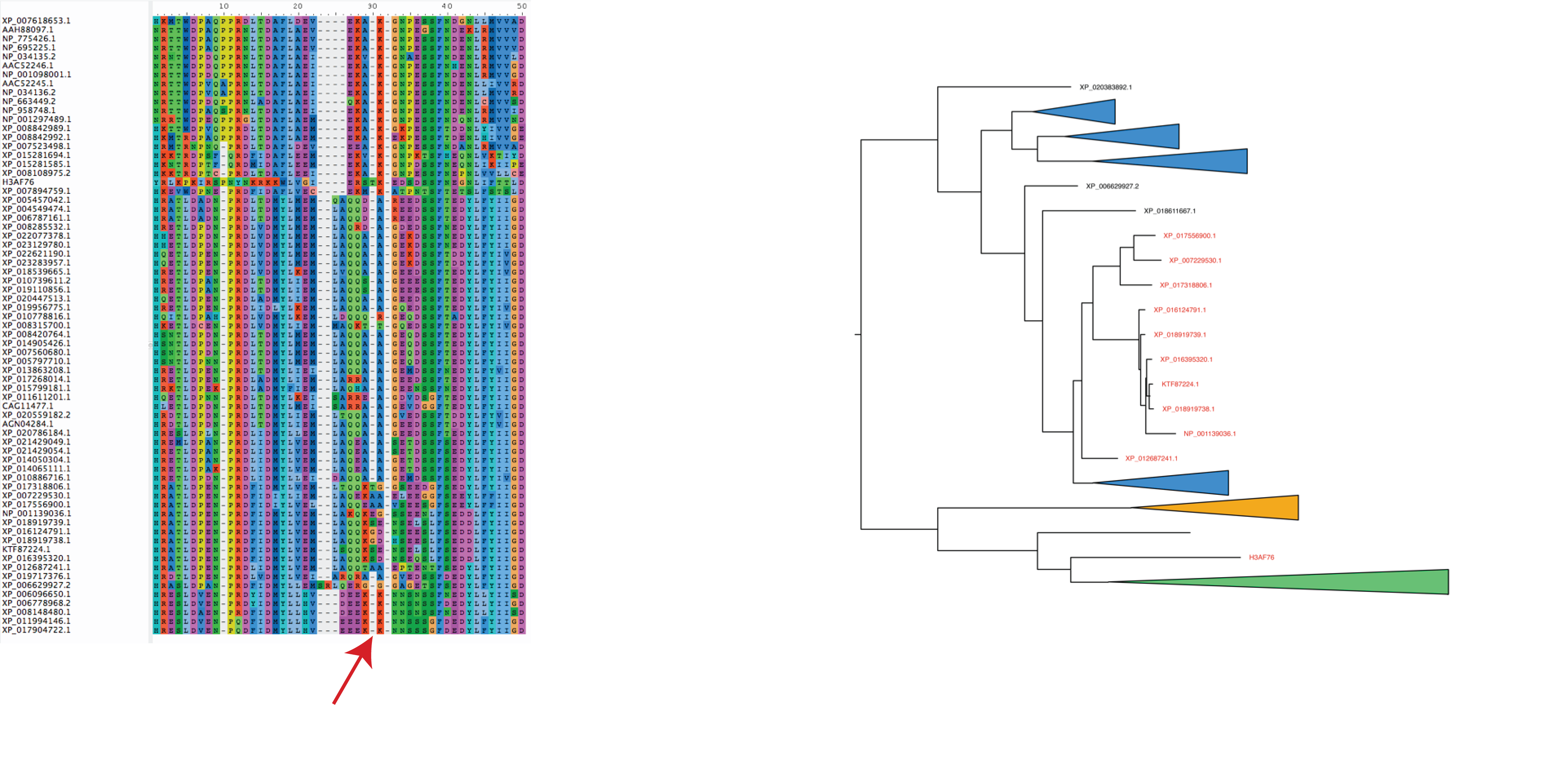 CYP2U1 Example