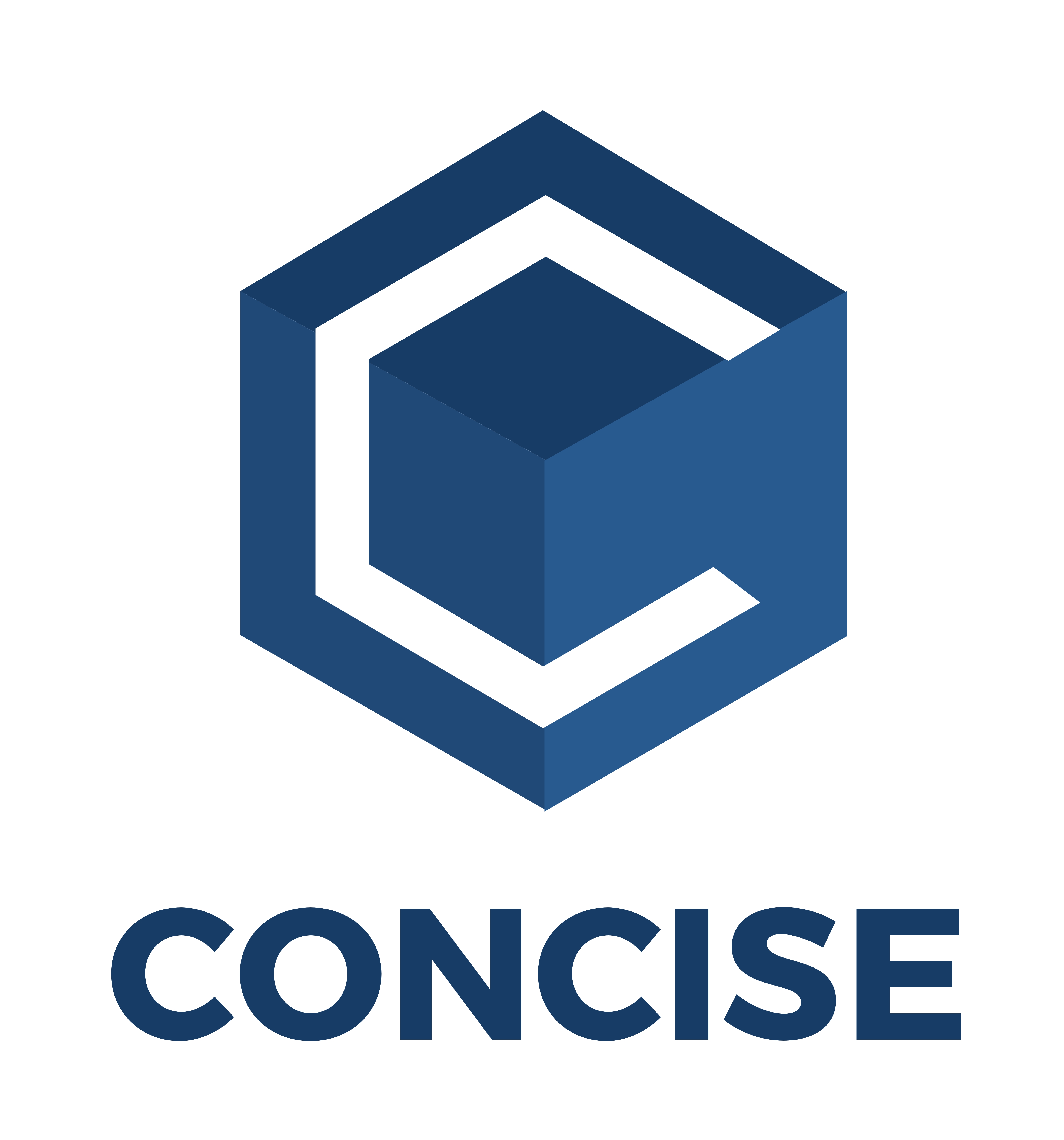 Concise logo