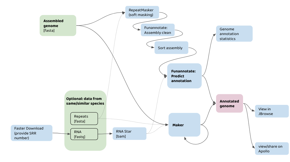 Genome annotation flowchart