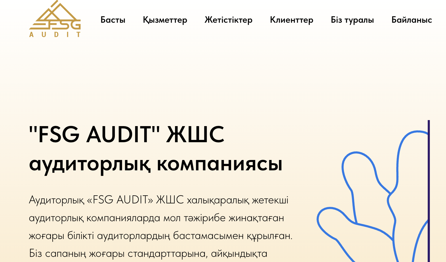 FSG Audit
