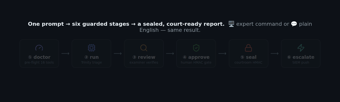 Animated: the six guarded stages light up in sequence — doctor pre-flight, run triage, examiner review, the human HMAC approval gate, the courtroom seal, and the SIEM escalation — ending on “SEALED · HMAC-SHA256 · court-ready”