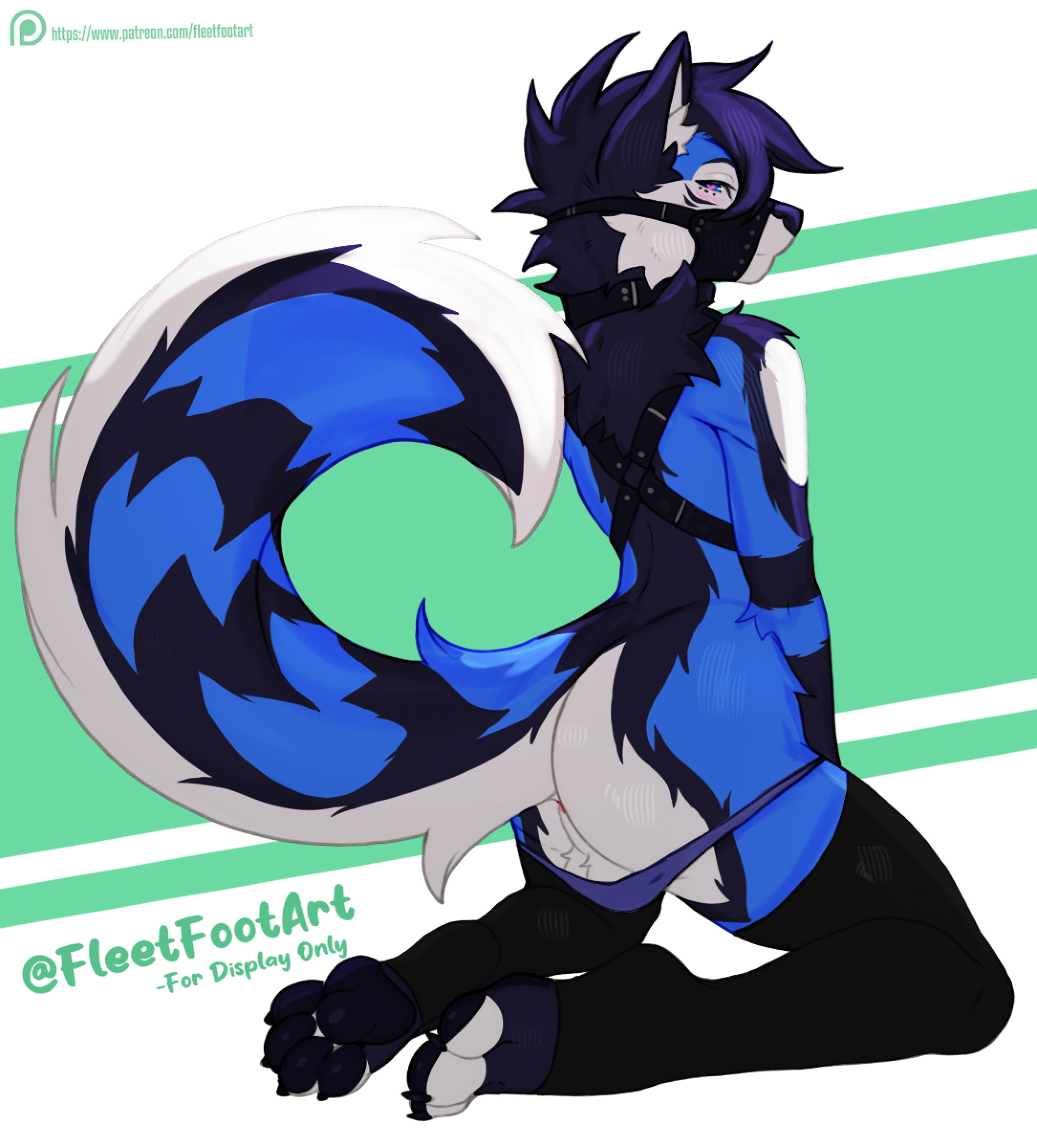 Fleet-Foot commission artwork