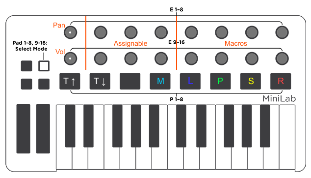 Layout