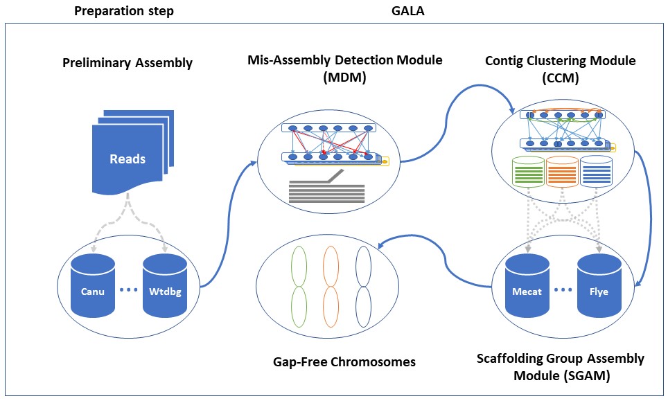 GALA Pipline 