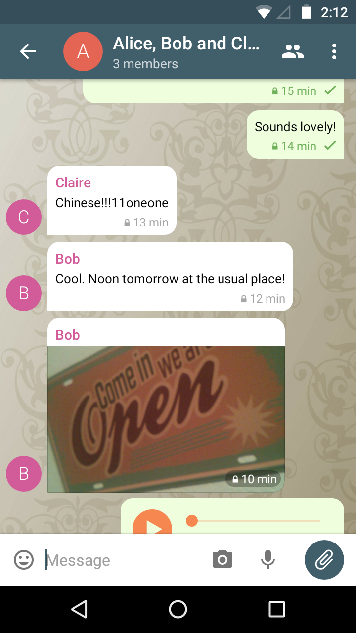 Screenshot Chat View