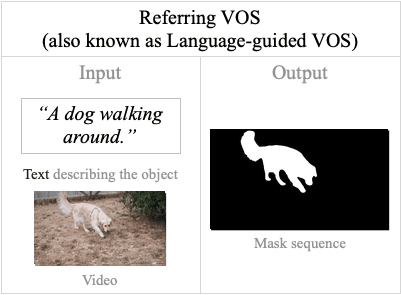 RVOS