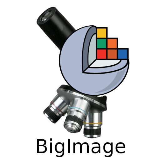 github kitwaremedical Images High Quality Grahic @KitwareMedical/slicer-extensions-webapp