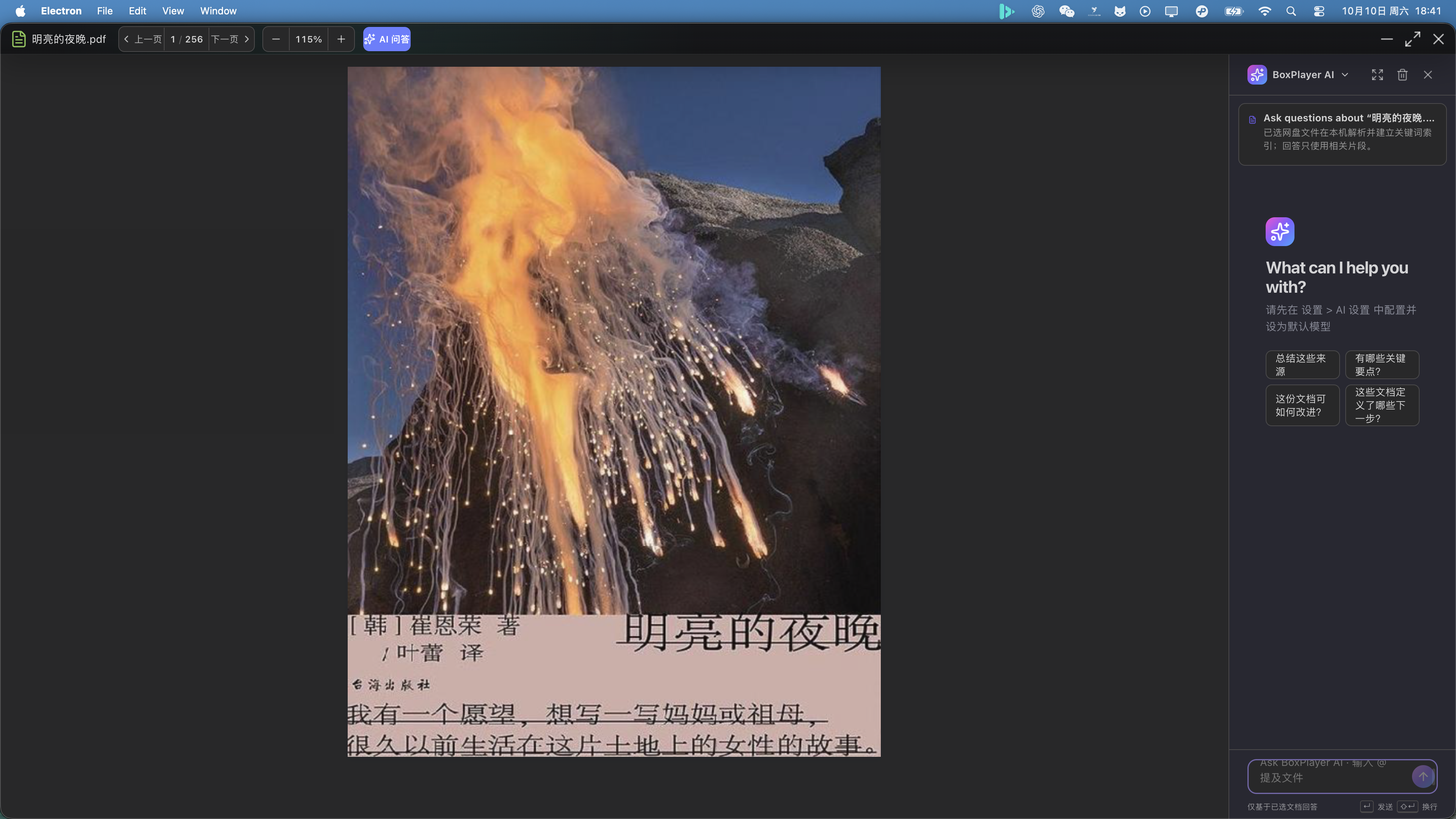 PDF 文档 AI