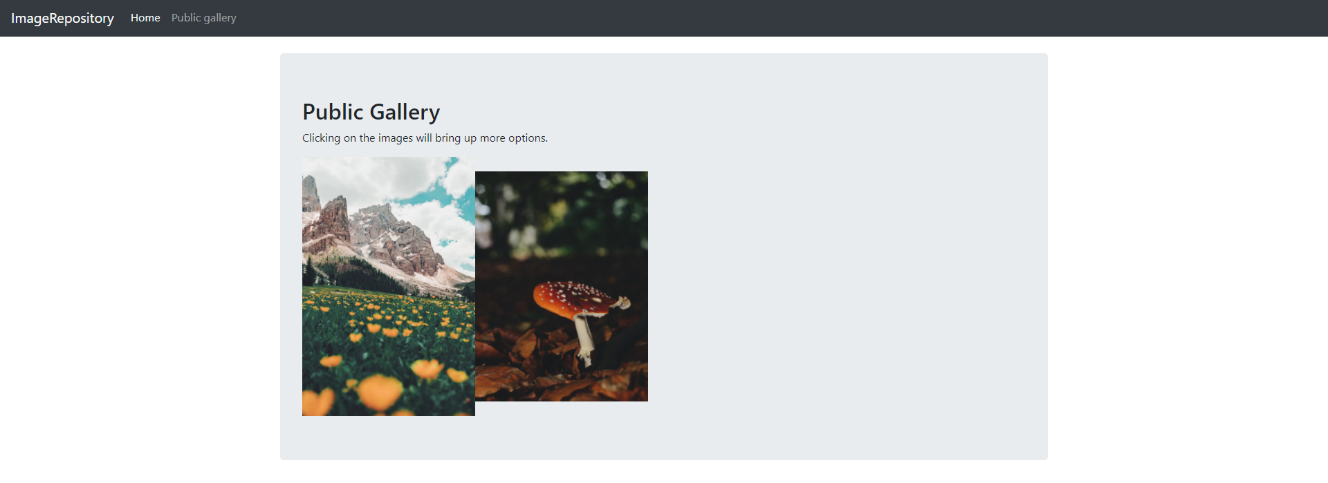 GitHub - garyli2/ImageRepositoryFrontend: The frontend for ...