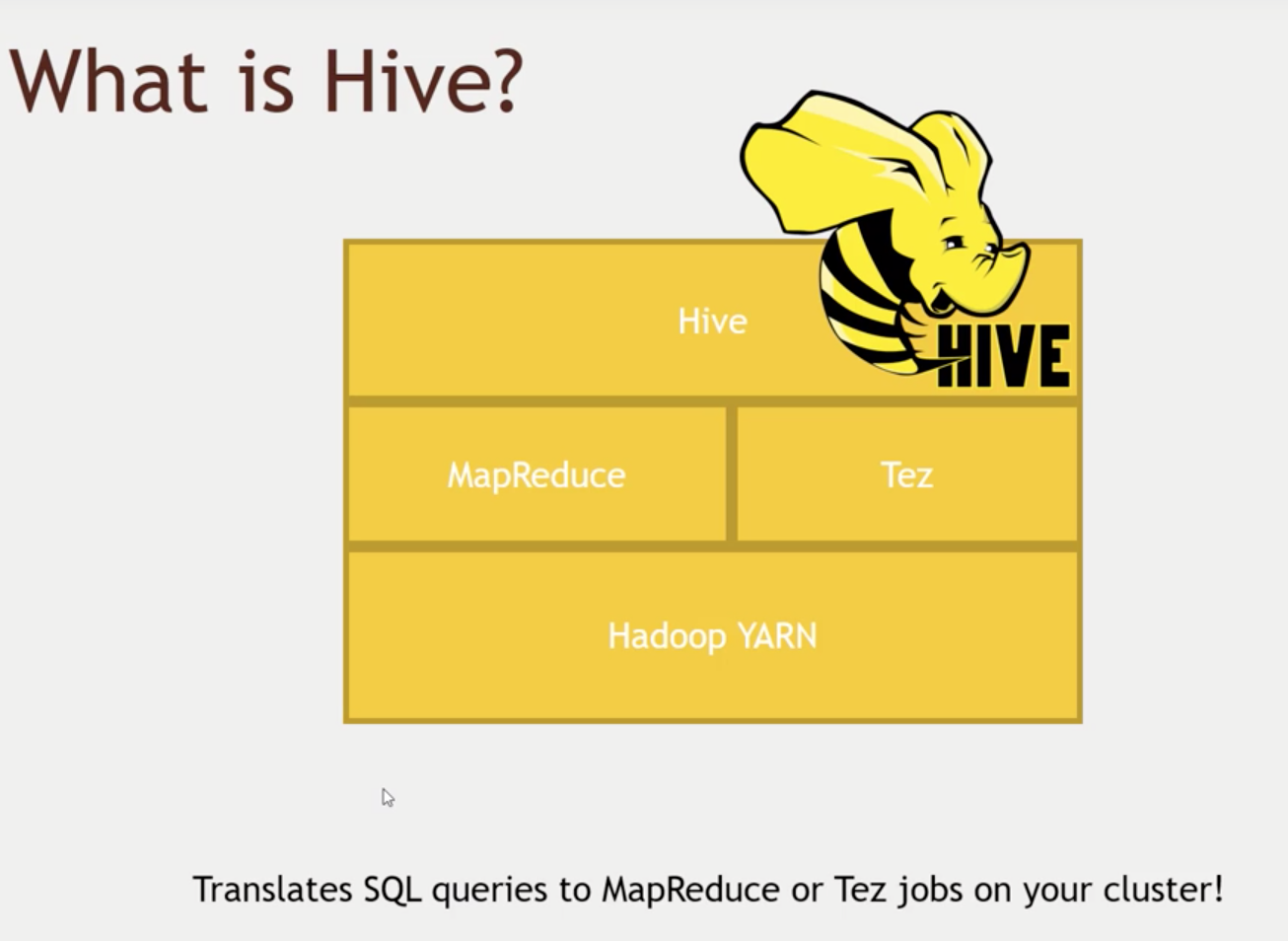 hive