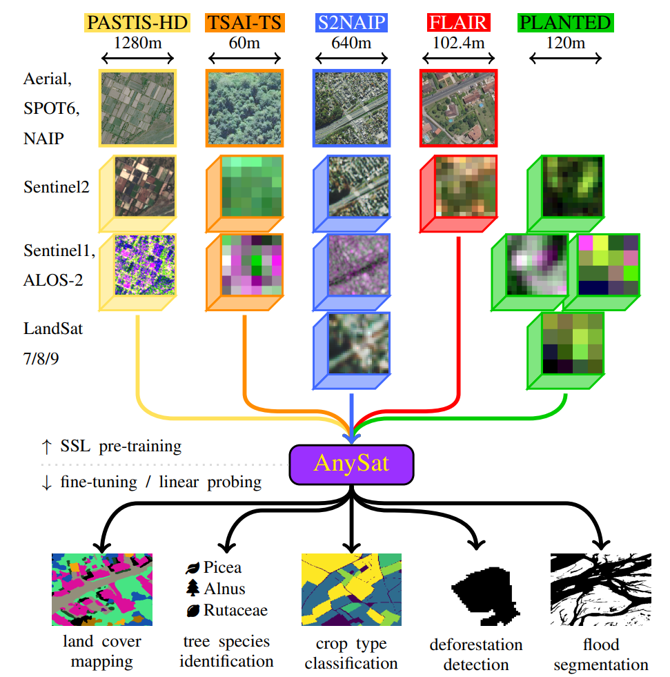 AnySat Architecture