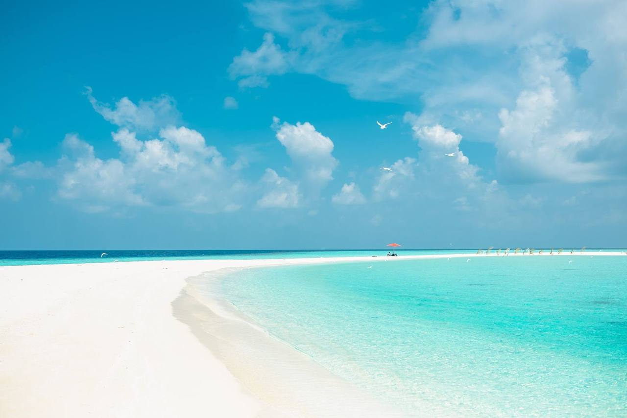 Turquoise sandbar beach under blue sky (Bahamas Bimini island character)