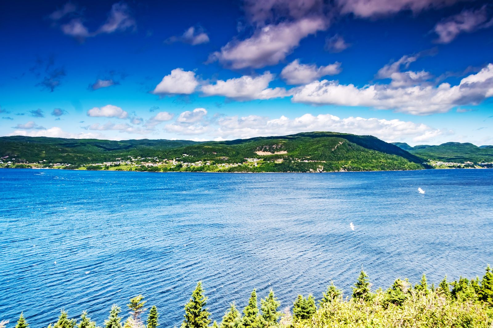 Humber Arm waterfront and hills above Corner Brook
