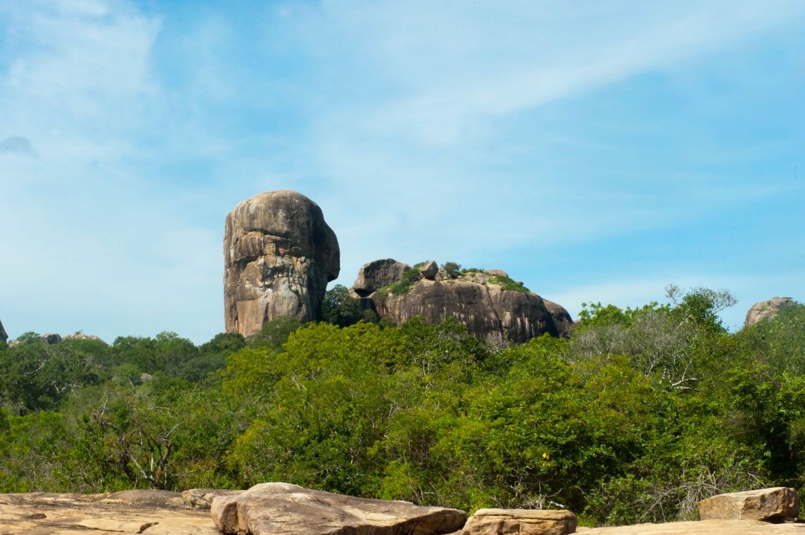 Hambantota coast and dry-zone landscape Sri Lanka