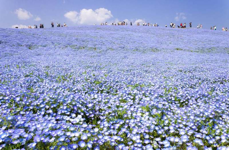Hitachinaka Pacific coast and park landscape in Ibaraki Japan