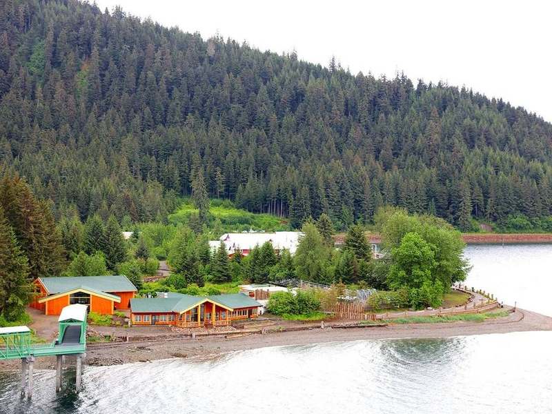 Icy Strait water and forested shore near Point Adolphus Alaska
