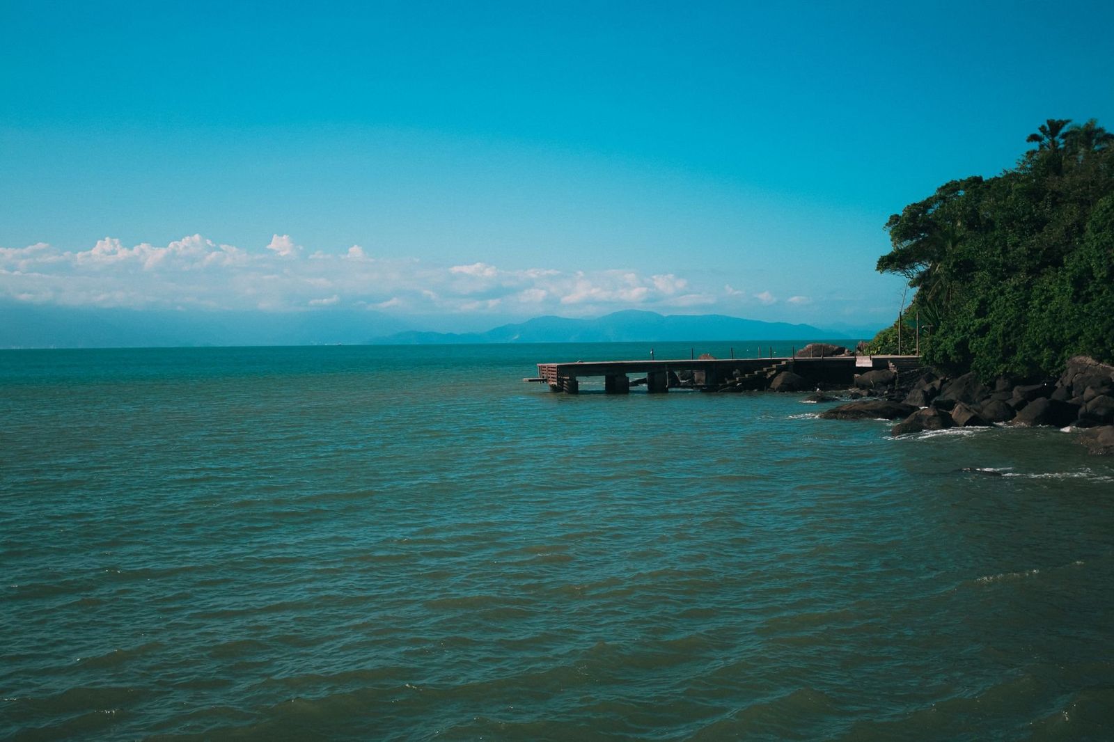 Ilhabela Atlantic Forest slopes and shoreline off São Paulo state