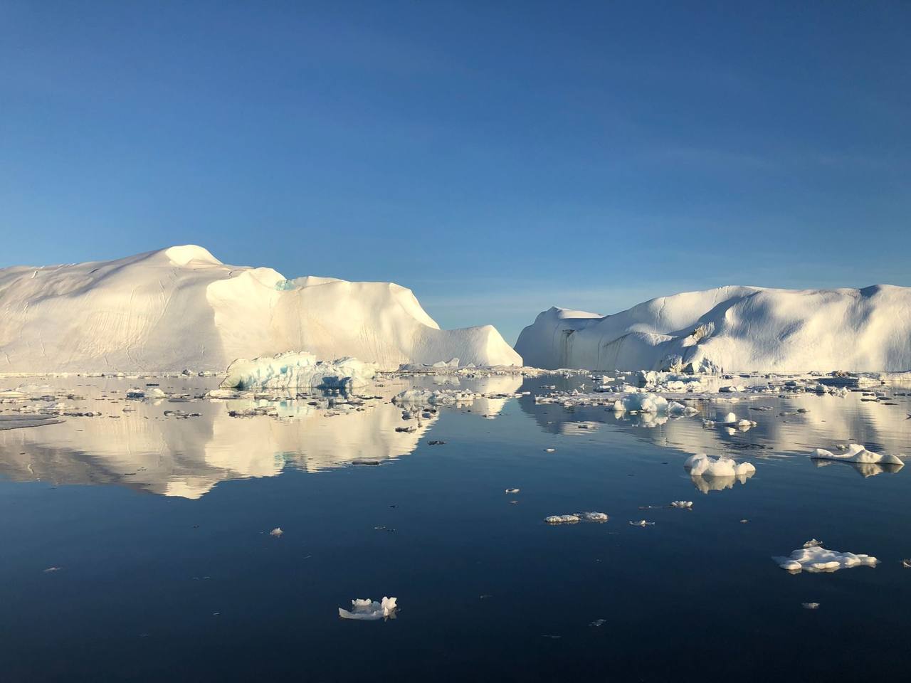 Ilulissat Icefjord icebergs reflected in calm water, day, solid blue sky