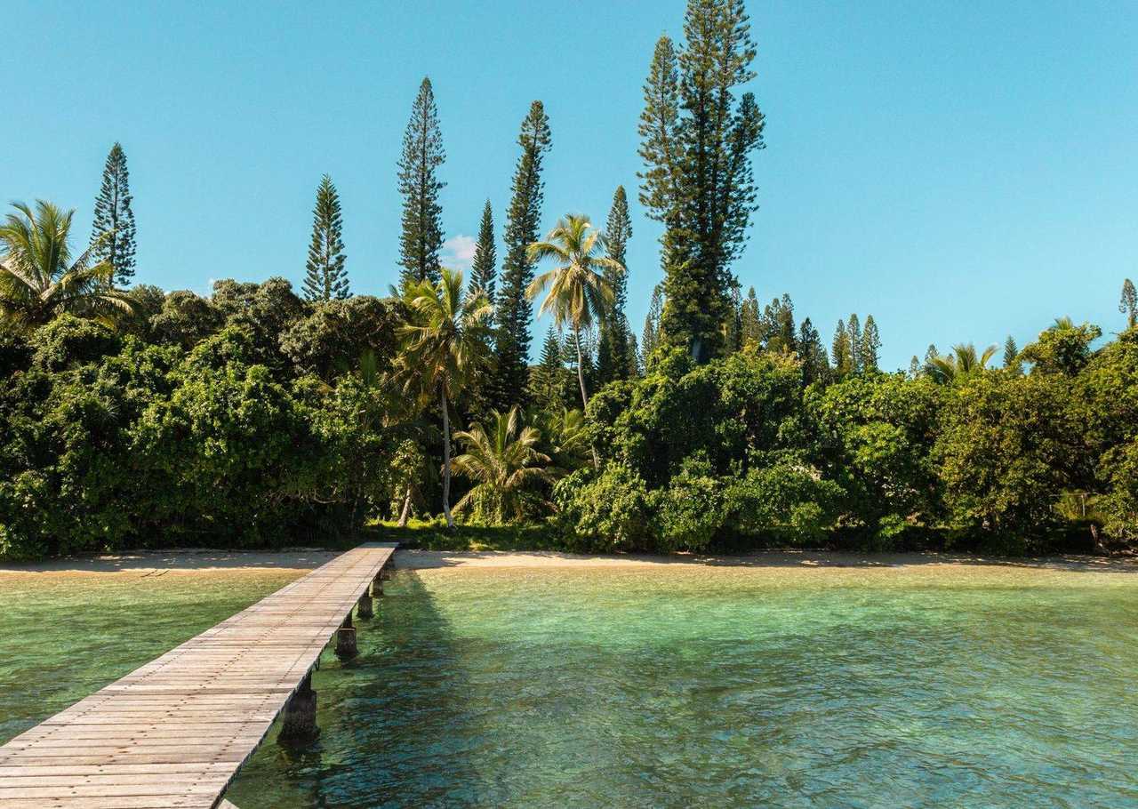 New Caledonia tropical beach with Cook pines / columnar araucaria, turquoise shallows and wooden jetty, day, clear blue sky