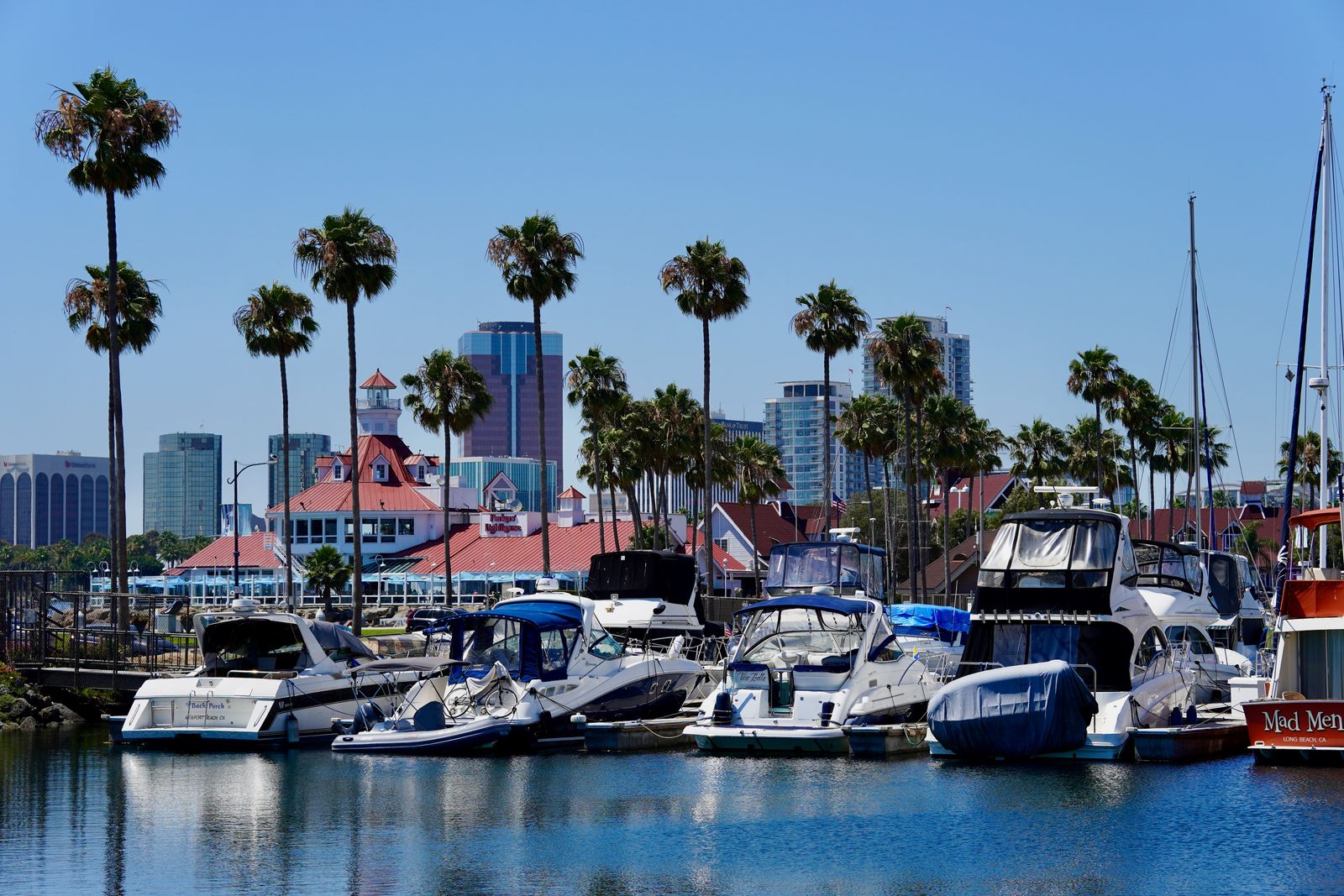 RMS Queen Mary (QUEEN MARY / LIVERPOOL stern) at Long Beach, day, clear blue sky
