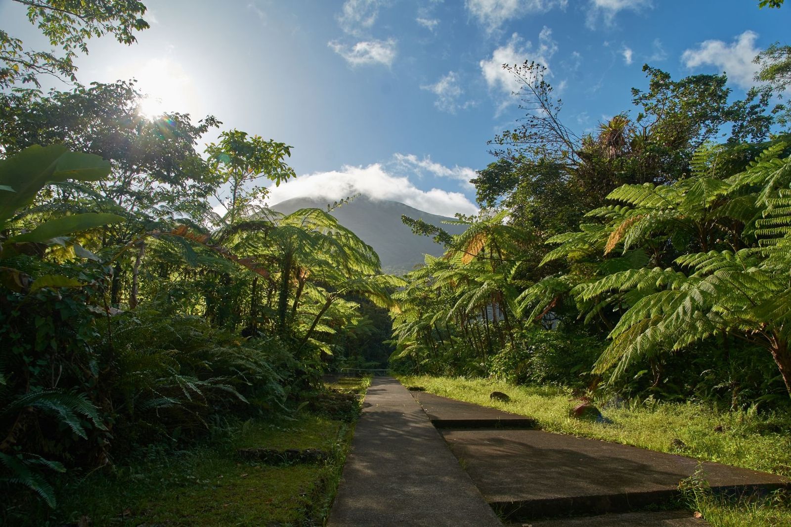 Pointe-à-Pitre Guadeloupe waterfront
