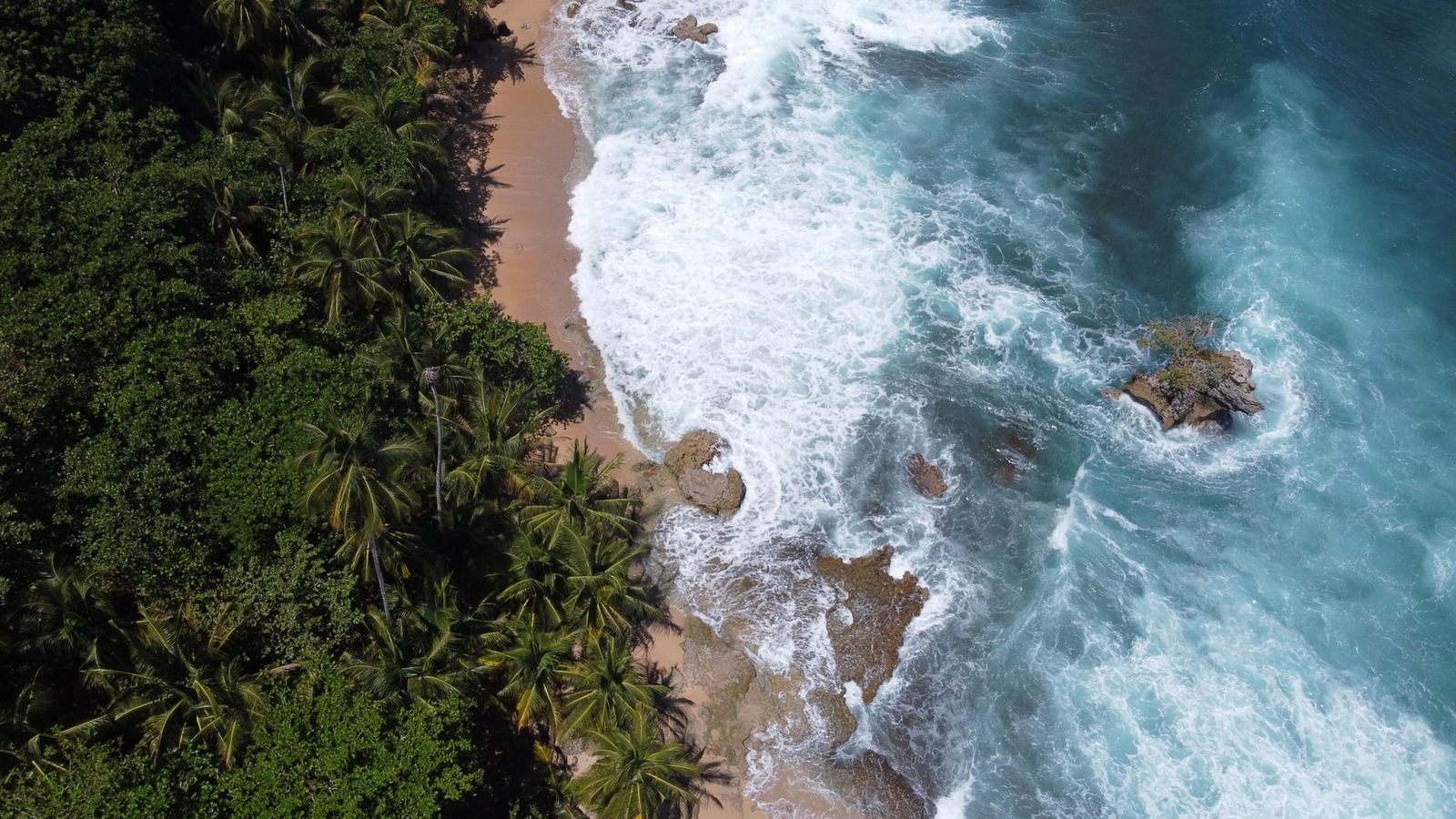 Cahuita National Park beach near Puerto Limón Costa Rica