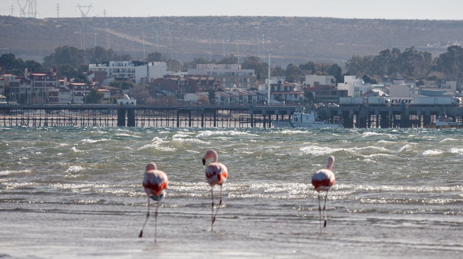 Puerto Madryn waterfront on Golfo Nuevo in Patagonia