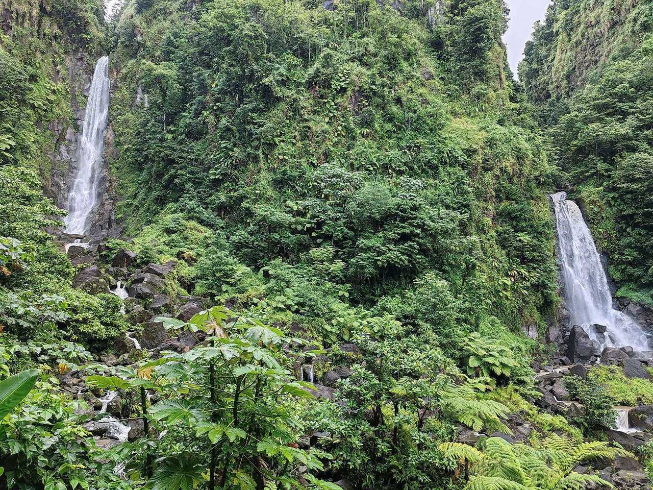 Trafalgar Falls twin cascades, Dominica (Roseau call), day, rainforest landmark