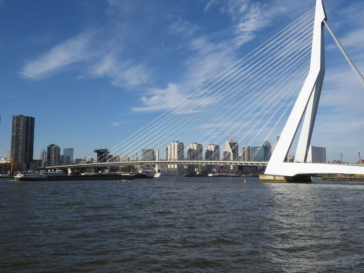 Erasmusbrug over the Nieuwe Maas with Rotterdam skyline, day, blue sky