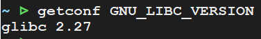 003-GNU_LIBC_VERSION.png
