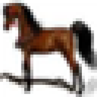 horse_scaled