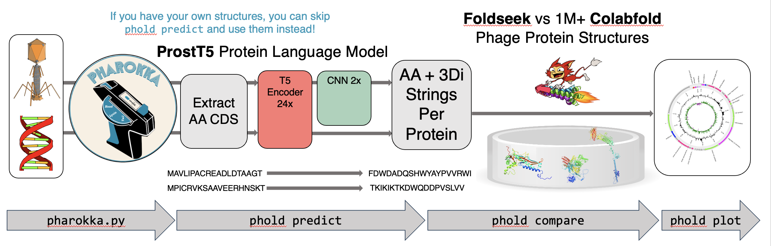 phold workflow