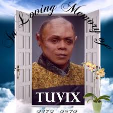 tuvix.jpg