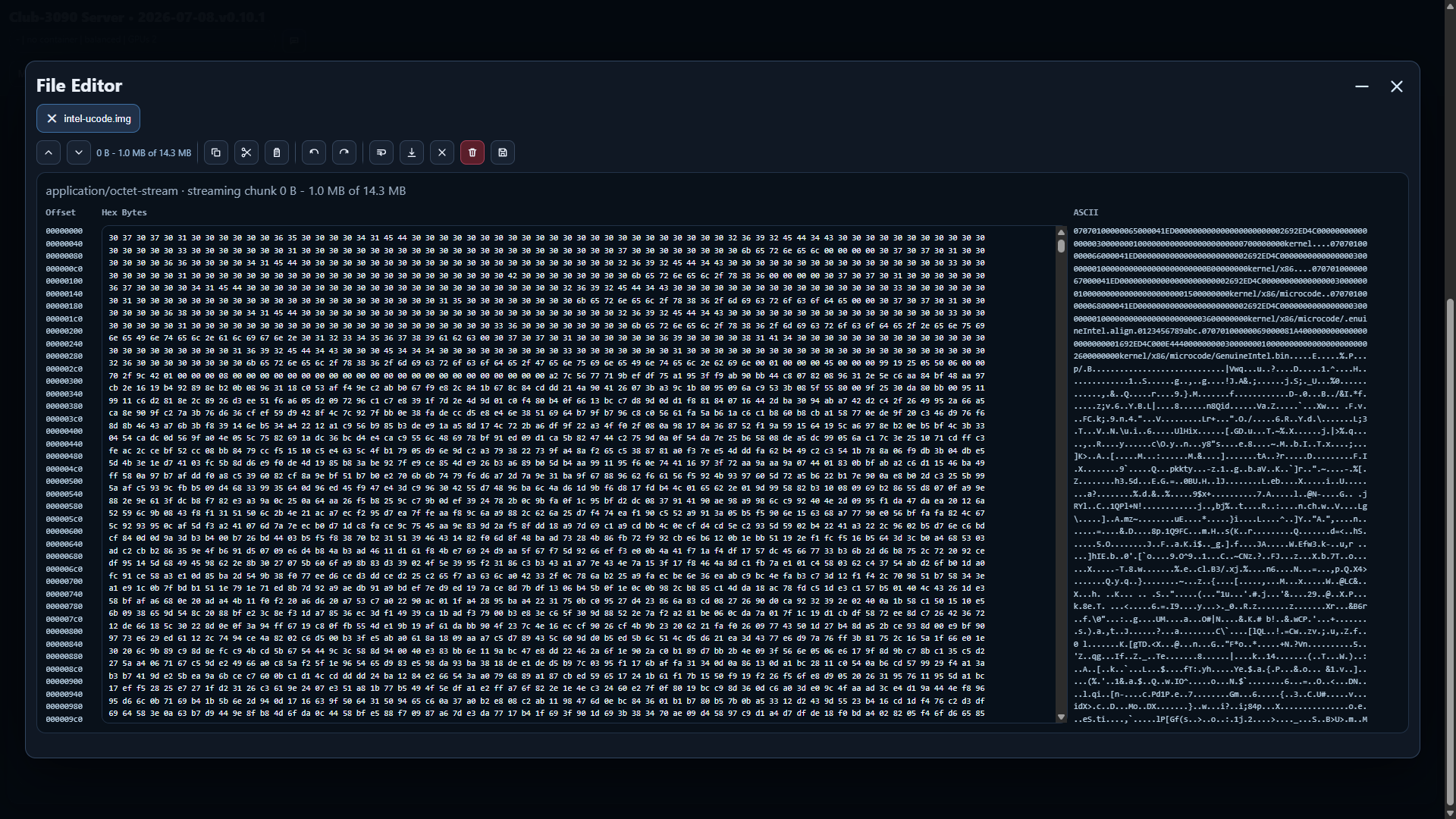 30. Hex Editor