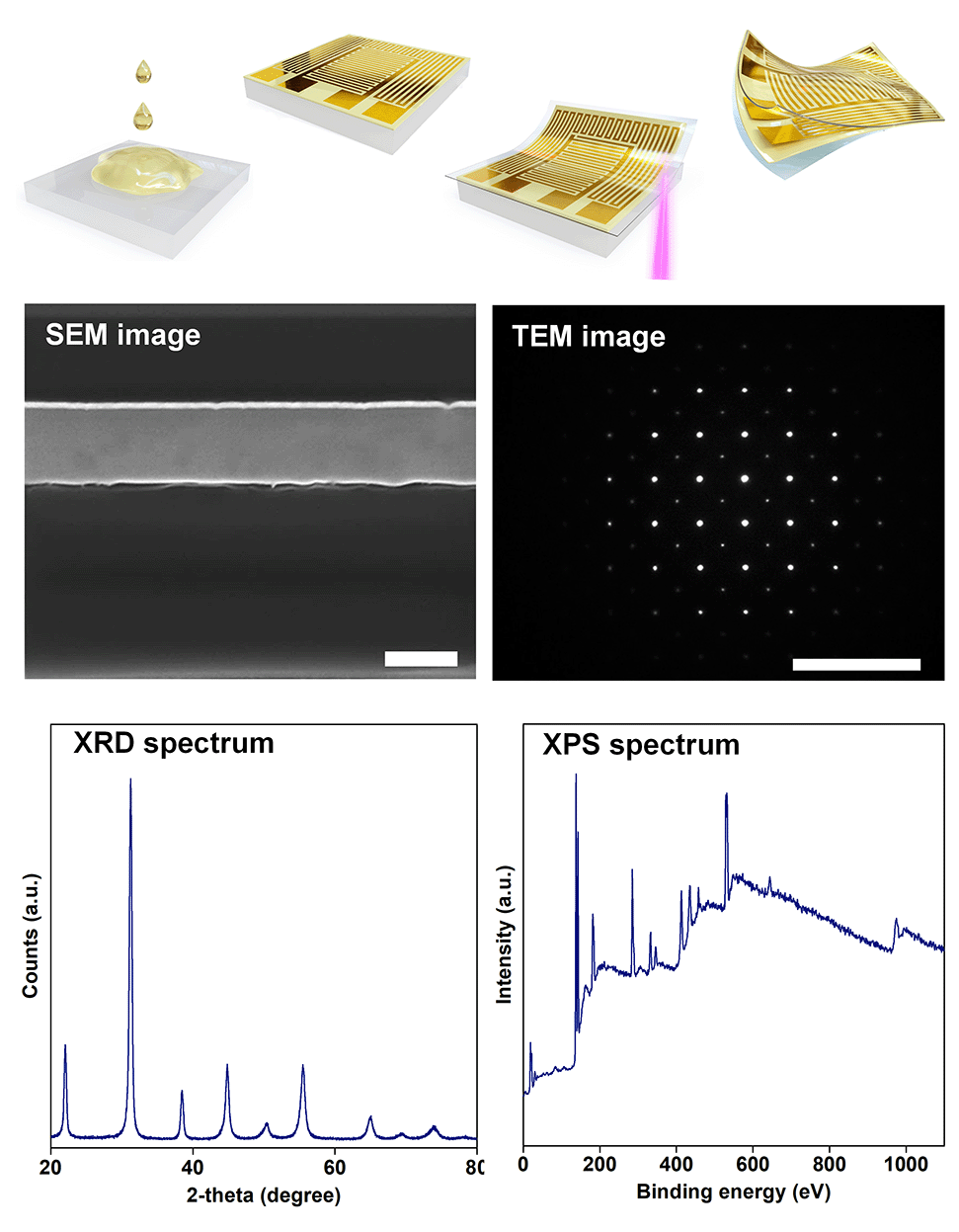 바이오나노공학