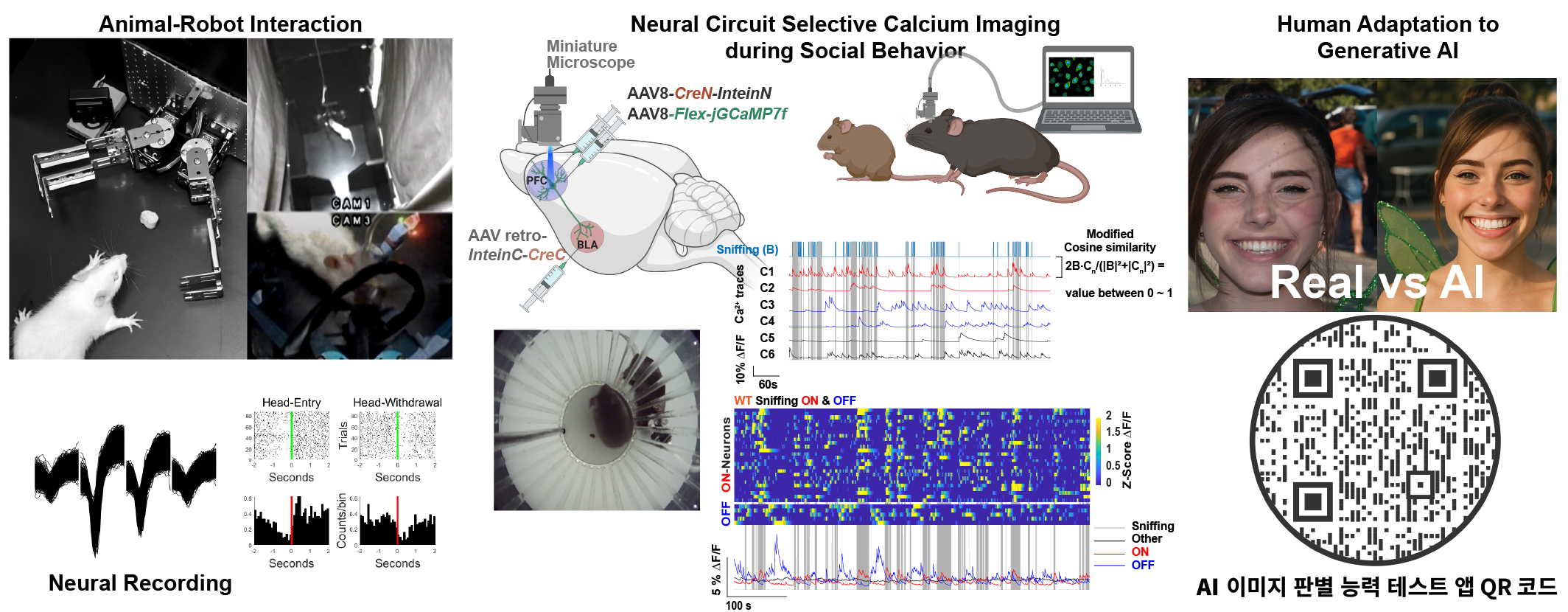 Neural Systems Laboratory