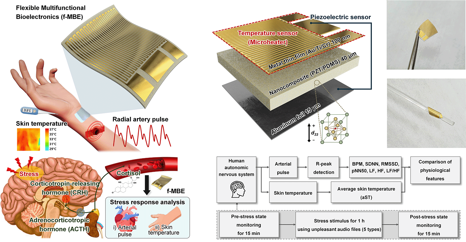 Wearable Healthcare Bioelectronics Laboratory