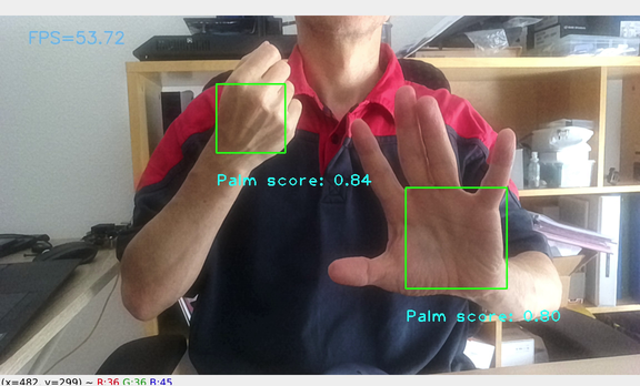 Palm detection