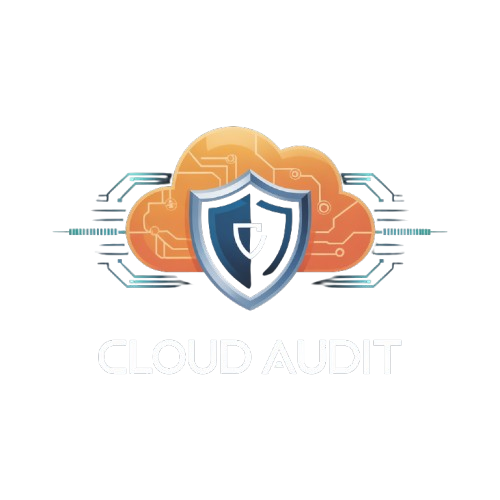 Cloud Audit screenshot