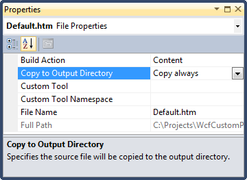 Copy to Output Directory