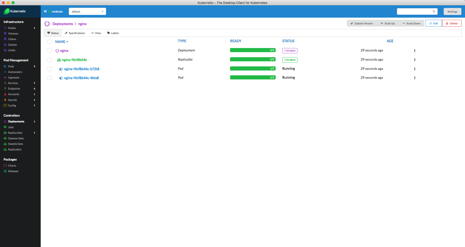 Deployment of nginx with 2 replicas (version 1.10-alpine)