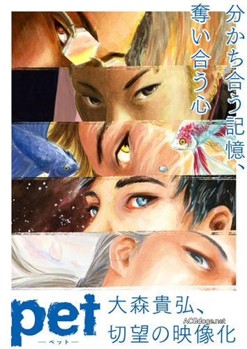 关于人的记忆，三宅乱丈漫画《PET》TV 动画化决定（动画视觉图公开）