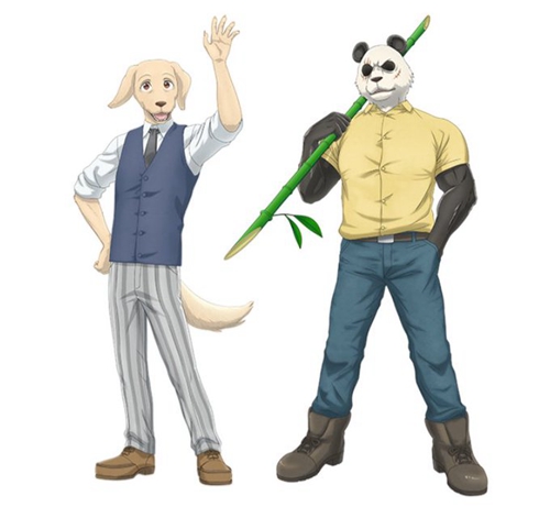 周刊少年 Champion 过年了（之一），板垣巴留漫画《BEASTARS》TV 动画 2019 年 10 月播出（PV 3 公开）