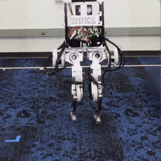 Walking demo