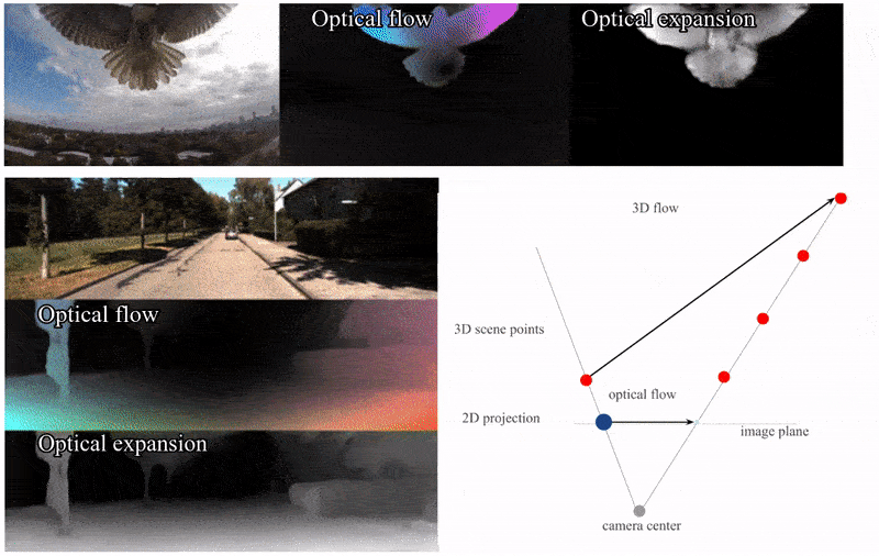 オプティカルフロー Cvpr オーラル によるオプティカルフローの3dシーンフローへのアップグレード Wenyanet