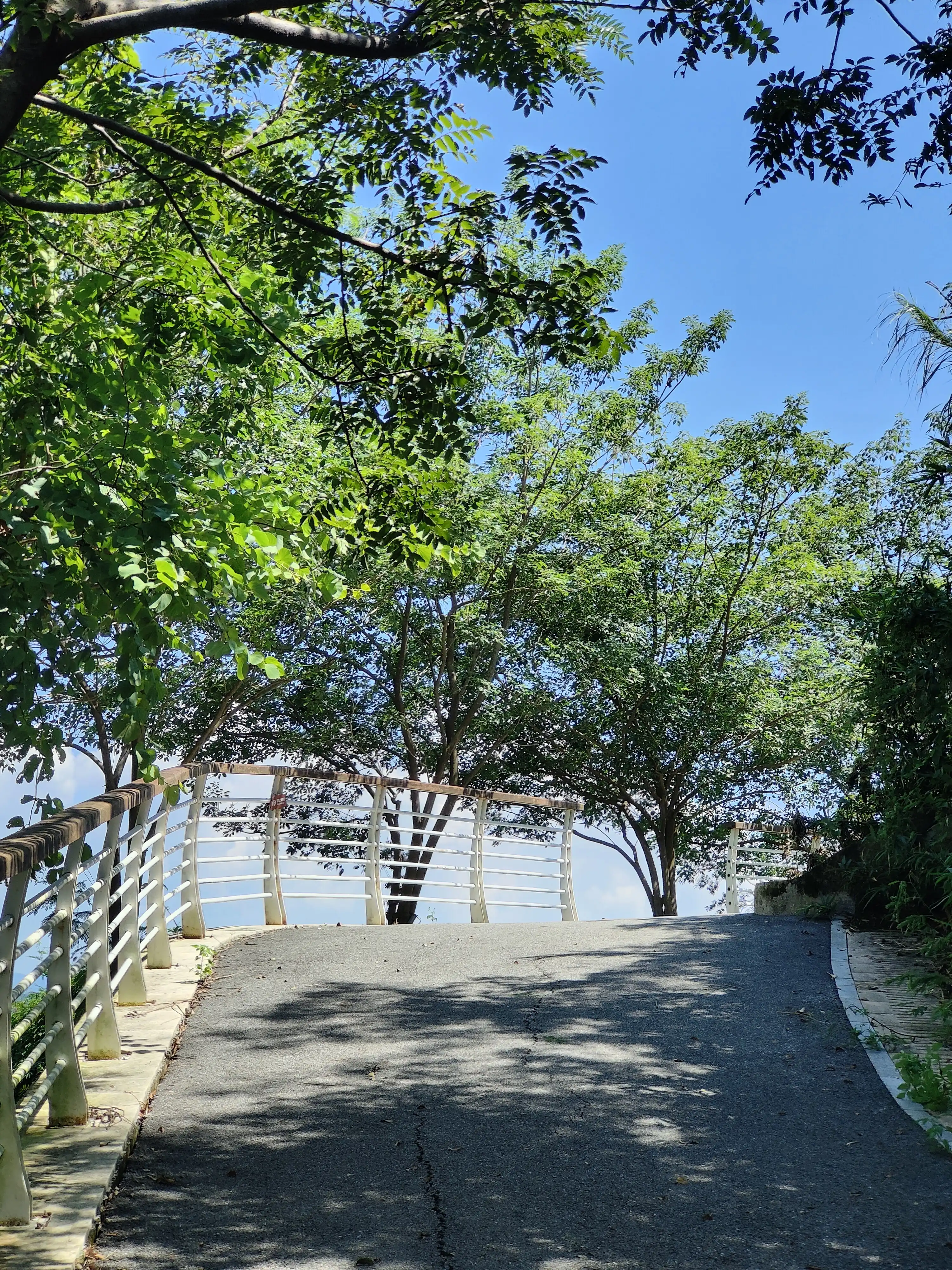 IMG20251002125946